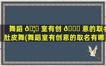舞蹈 🦆 室有创 🐟 意的取名肚皮舞(舞蹈室有创意的取名有哪些)
